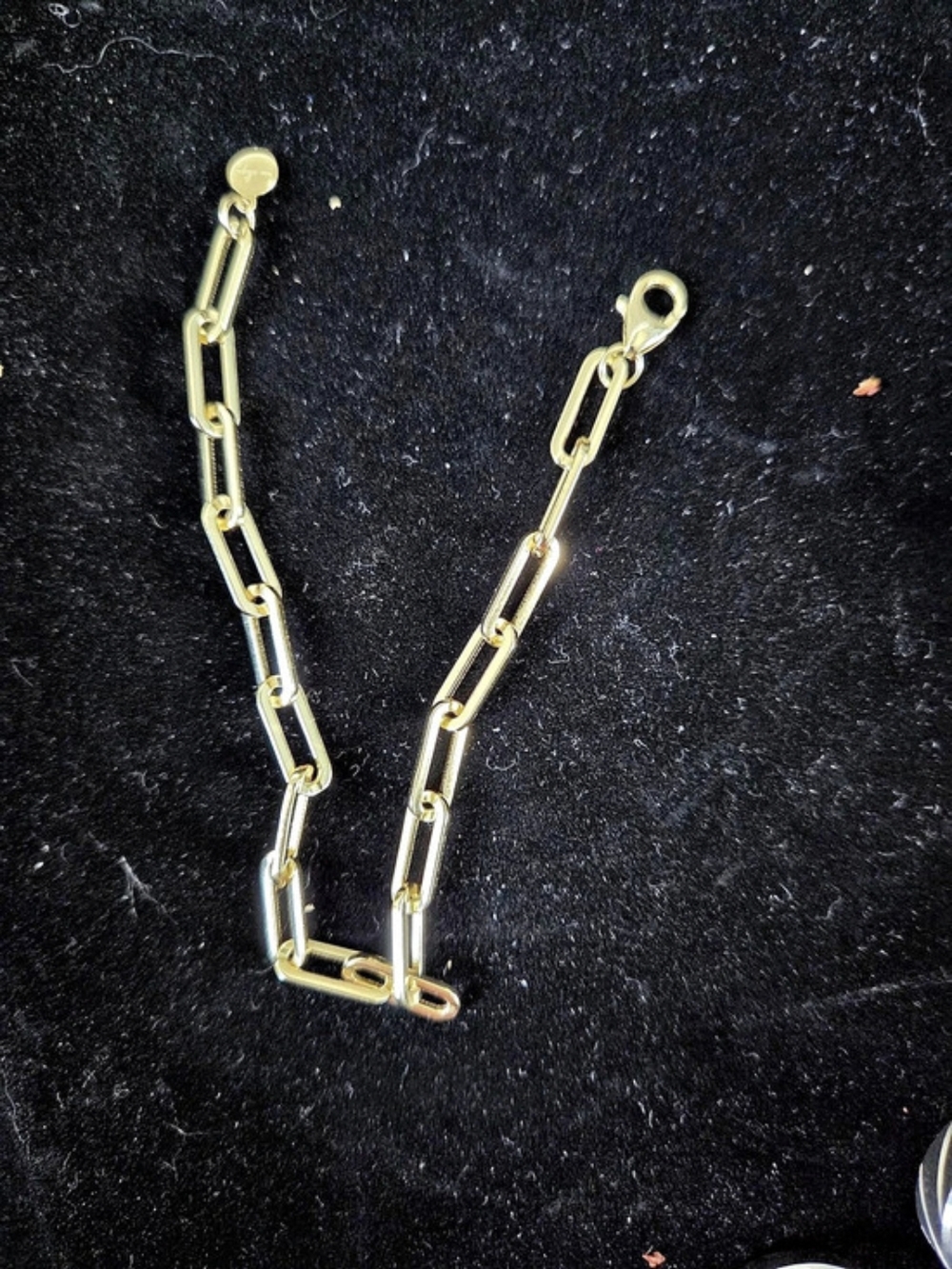 Gold Plated Sterling Silver 925 Ana Luisa Paris Link Bracelet